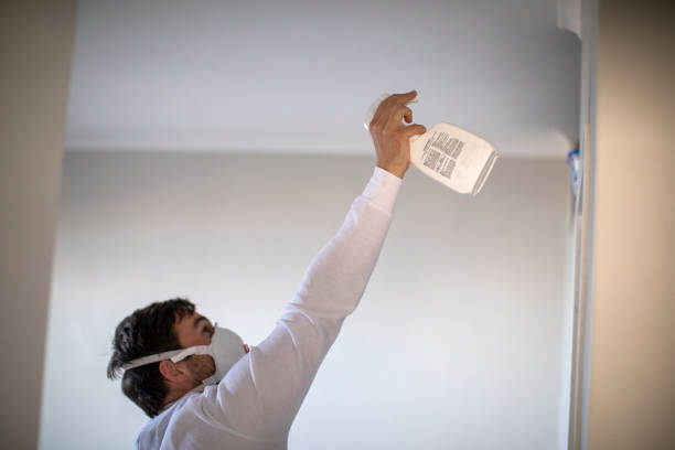 Best Mold Testing  in Sun Valley, ID